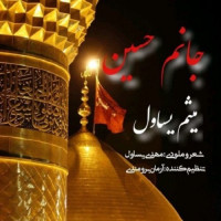 Meysam Yasavol - Janam Hosein