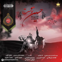 Omid Shirin - Hosseine Tost