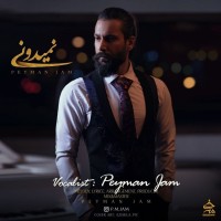 Peyman Jam - Nemidooni