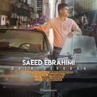Saeed Ebrahimi - Dele Divoone