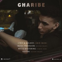 Amir Imani - Gharibe