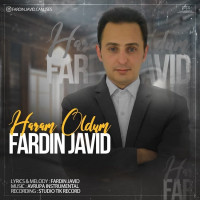 Fardin Javid - Haram Oldum