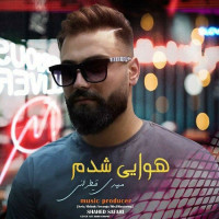 Mehdi Gheytarani - Havaei Shodam