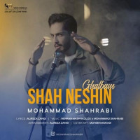 Mohammad Shahrabi - Shah Neshine Ghalbam