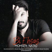 Mohsen Nataj - Bi Ehsas