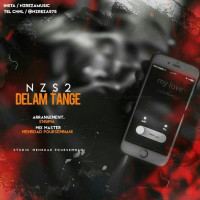 NZS2 - Delam Tange