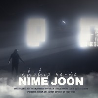 Shahin Parsa - Nime Joon