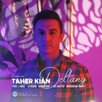 Taher Kian - Deltang