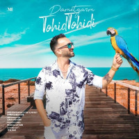 Tohid Tohidi - Damet Garm