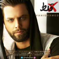 Vahid Hamed - Ghalat