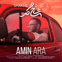 Amin Ara - Shakhe Gol