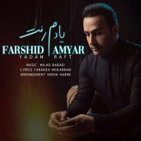 Farshid Amyar - Yadam Raft