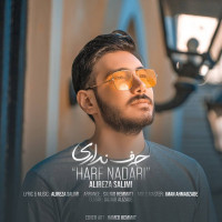 Alireza Salimi - Harf Nadari