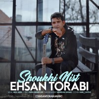 Ehsan Torabi - Shookhi Nist