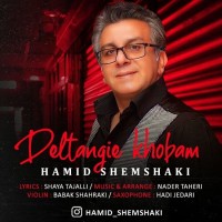 Hamid Shemshaki - Deltangie Khoobam