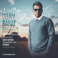 Navid Babania - Delam Barat Misooze ( Remix )