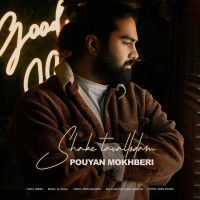 Pouyan Mokhberi - Shabe Tavalodam