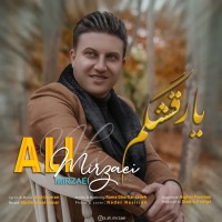 Ali Mirzaei - Yare Ghashangam