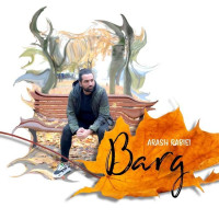 Arash Rabiei - Barg