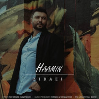Hamin - Zibaei