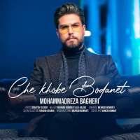 Mohammadreza Bagheri - Che Khoobe Boodanet