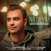 Saeed Bagherzade - Na Deyim