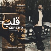 Sepehr Tajayi - Ghalbe Man