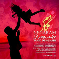 Vahid Dehghani - Negaram