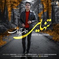Amin Abadian - Tanhaei