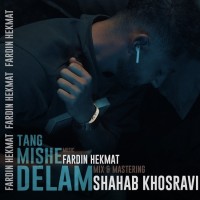 Fardin Hekmat - Tang Mishe Delam