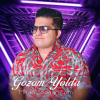 Milad Sadegh Fam - Gozom Yolda