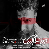 Moein Z - Divaneam Ari