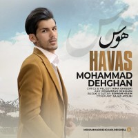 Mohammad Dehghan - Havas