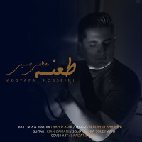 Mostafa Hosseini - Taneh
