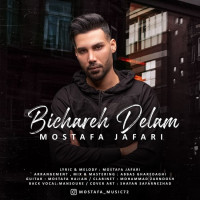 Mostafa Jafari - Bichare Delam