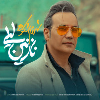 Shahram Shokoohi - Nazanin Leili