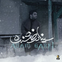 Sina Derakhshande - Adam Barfi