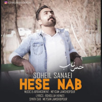 Soheil Sanaei - Hese Nab