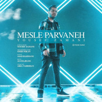 Yousef Zamani - Mesle Parvaneh