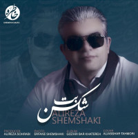 Alireza Shemshaki - Bot Shekan