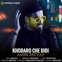 Amin Fayyaz - Khodaro Che Didi