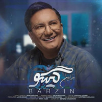Barzin - Gisoo