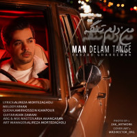 Farzad Ghahreman - Man Delam Tange