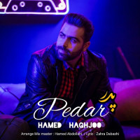 Hamed Haghjoo - Pedar