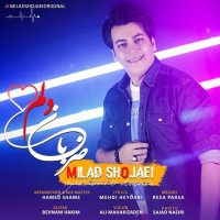 Milad Shojaei - Zarabane Delam