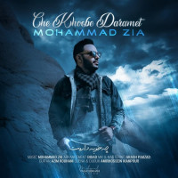 Mohammad Zia - Che Khoobe Daramet