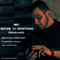 Mojtaba Mehri - Bedoone To Nemitoonam