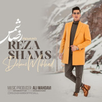 Reza Shams - Delam Mikhad