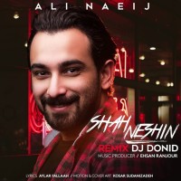 Ali Naeij - Shah Neshin ( Dj Donid Remix )