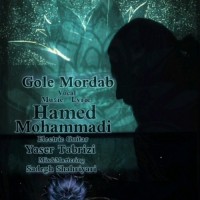 Hamed Mohammadi - Gole Mordab